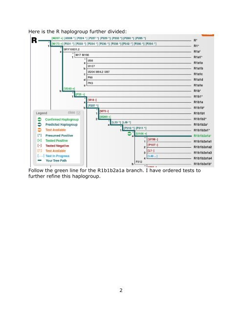 Y-chromosome R1b1b2a1a Haplogroup