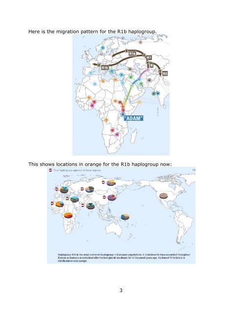 Y-chromosome R1b1b2a1a Haplogroup