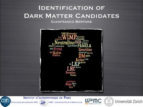 Identification of Dark Matter Candidates