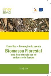 Biomassa Florestal