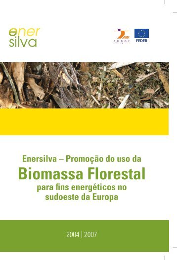 Biomassa Florestal