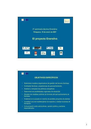 El proyecto Enersilva