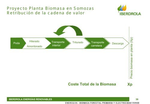 MODELOS DE PROYECTOS DE PLANTAS DE BIOMASA EN ESPAÑA