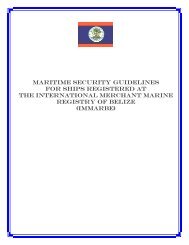 Maritime Security Guidelines For Ships Registered at IMMARBE.