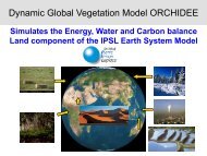 Dynamic Global Vegetation Model ORCHIDEE