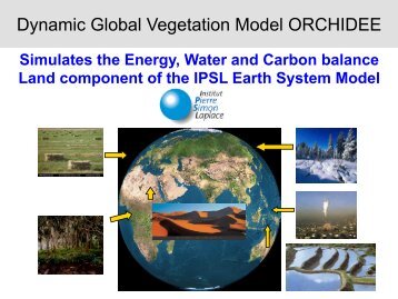 Dynamic Global Vegetation Model ORCHIDEE