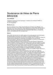 Soutenance de thèse de Pierre BRIGODE