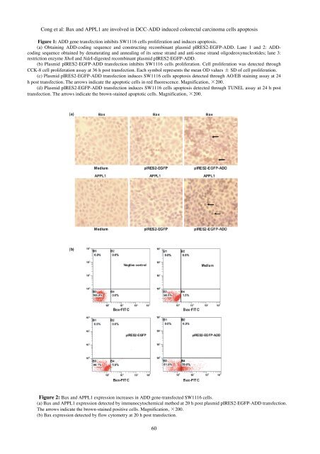 Bax and APPL1 are involved in DCC-ADD induced colorectal ...