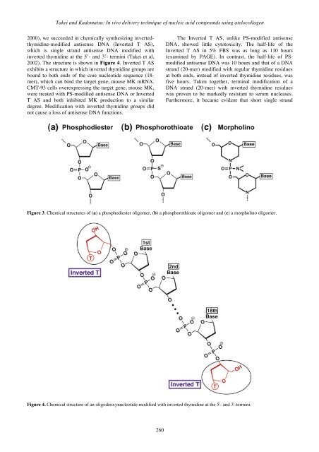 In vivo delivery technique of nucleic acid compounds using ...