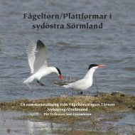 Fågeltorn/Plattformar i sydöstra Sörmland