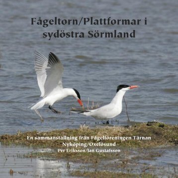 Fågeltorn/Plattformar i sydöstra Sörmland