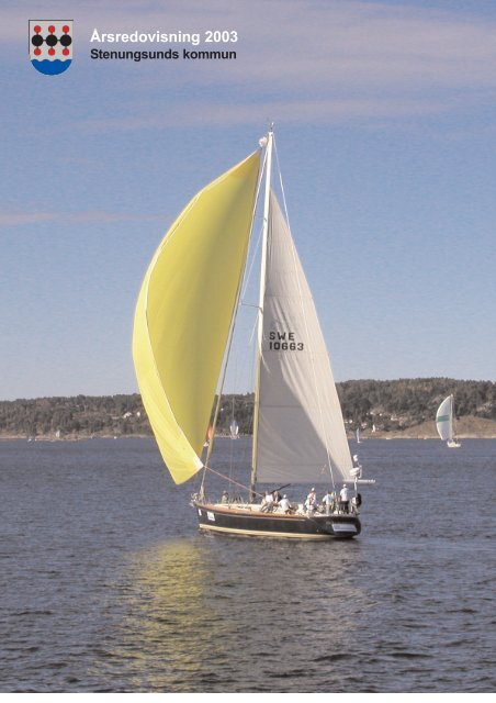 Arsredovisning 2003