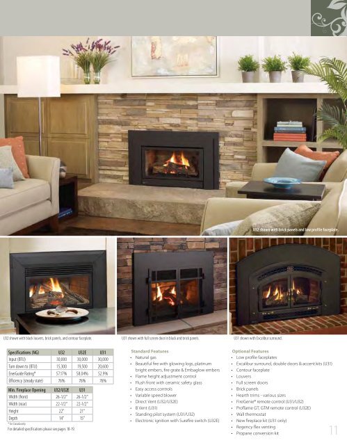 inserts - Regency Fireplace Products