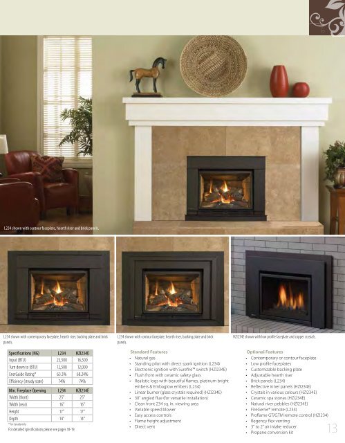 inserts - Regency Fireplace Products