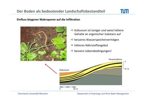 Einführung in die Bodenkunde für Umweltingenieure