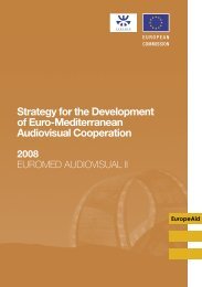 Strategy for the Development of Euro-Mediterranean Audiovisual Cooperation