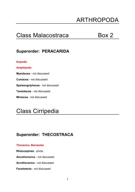 Class Cirripedia