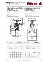 Schnellschlussventil PN 25 Quick-closing Valve PN 25