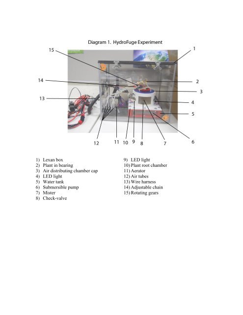 Cirru Wiring Harnes - Wiring Diagram