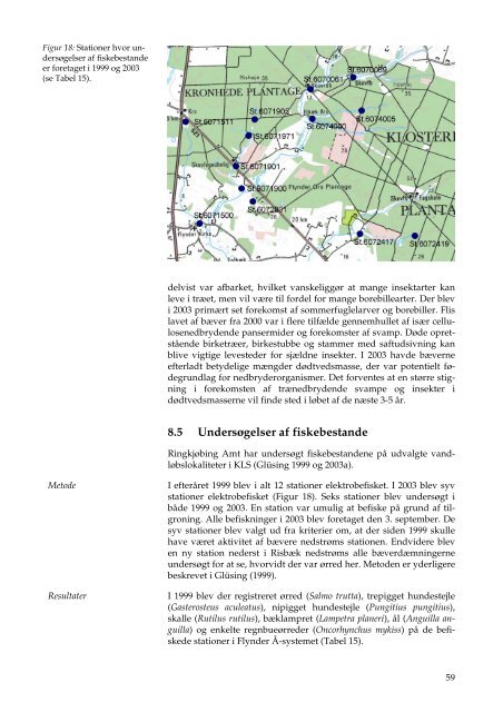 Overvågning af bæver Castor fiber i Flynder Å, 1999-2003