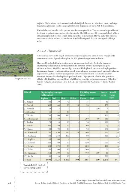 KAÇKAR DAĞLARI YUSUFELİ BÖLGESİ YÖNETİM PLANI