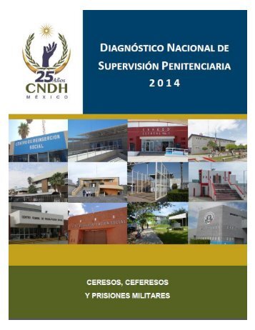 DIAGNÓSTICO NACIONAL DE SUPERVISIÓN PENITENCIARIA 2014 ÍNDICE