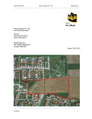 Plan 205 Begründung - Stadt Mindelheim