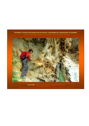 Patrones y Estructuras disipativas en cuevas y geoformas - Aranzadi
