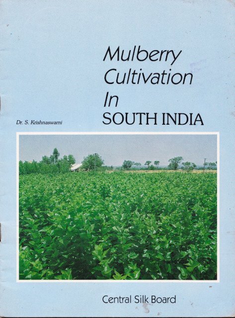 Mulberry