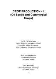CROP PRODUCTION - ll (Oil Seeds and Commercial Crops)