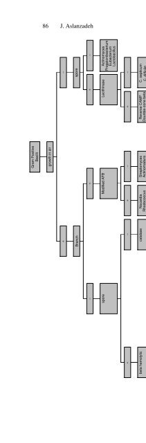 Advanced Techniques in Diagnostic Microbiology