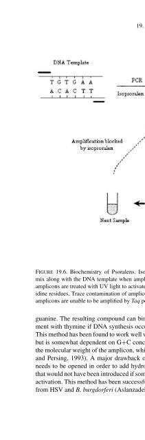 Advanced Techniques in Diagnostic Microbiology