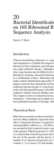 Advanced Techniques in Diagnostic Microbiology