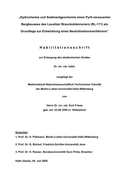 Hydrochemie, Sedimentgeochemie und Sanierungstechnologie von ...