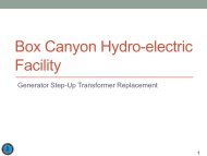 Box Canyon Hydro-electric Facility