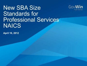 New SBA Size Standards for Professional Services NAICS