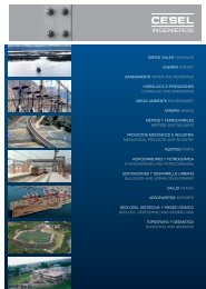 Institutional Brochure - CESEL Ingenieros