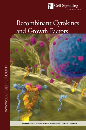 Recombinant Cytokines and Growth Factors - Cell Signaling ...