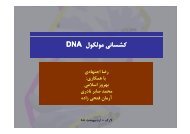 مولكول DNA كشساني DNA