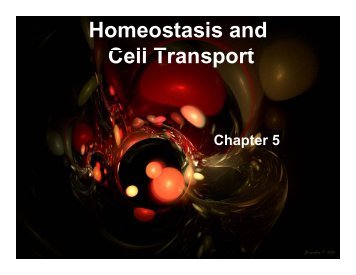 Homeostasis and Cell Transport