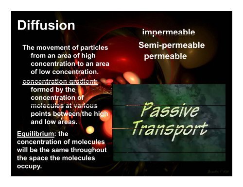 Homeostasis and Cell Transport