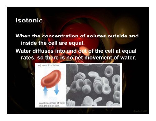 Homeostasis and Cell Transport