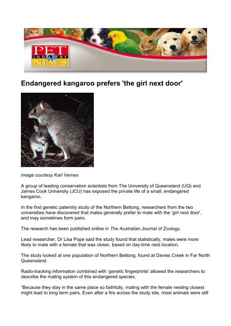 Endangered Kangaroo Prefers The Girl Next Door