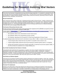 Guidelines for Research Involving Viral Vectors