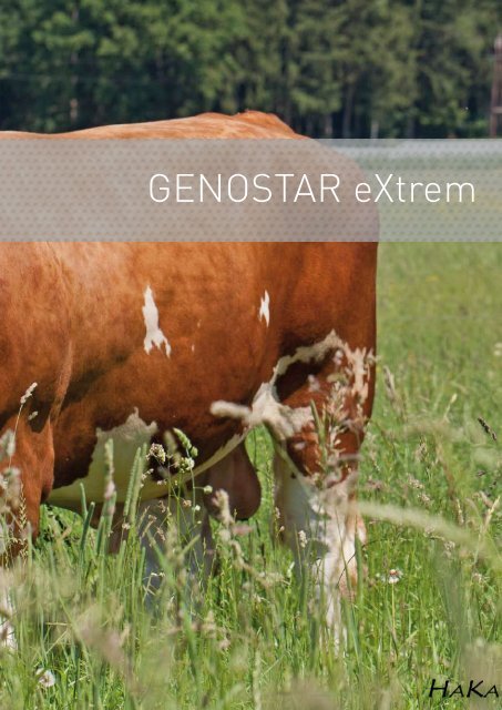 zum Download - GENOSTAR