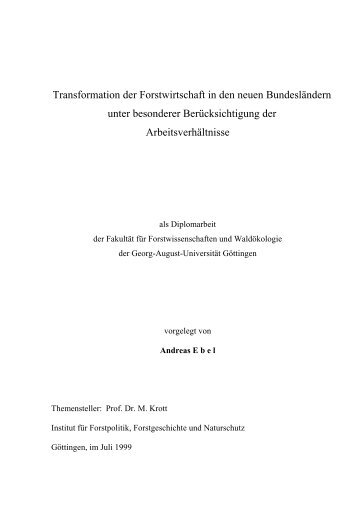 Download Diplomarbeit (469kB)