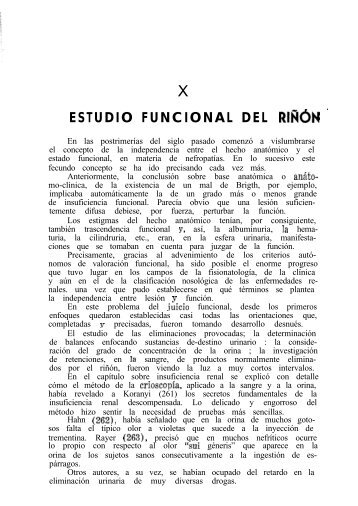 ESTUDIO FUNCIONAL DEL RIÑON '