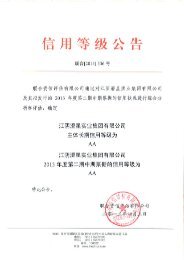 江阴澄星实业集团有限公司2013年度第二期中期票据信用评级报告
