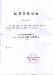 青岛国信实业有限公司2007年5亿元企业债券信用评级分析报告