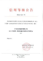 河南投资集团有限公司2013年度第一期短期融资券信用评级报告